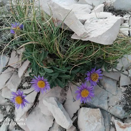 Agriturismo Belle Buono San Ginesio