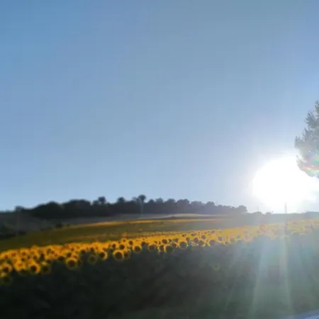 Alloggio per agriturismo Agriturismo Belle Buono *