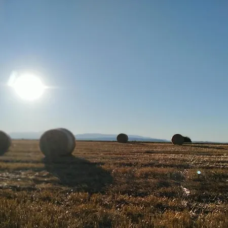 Alloggio per agriturismo Agriturismo Belle Buono San Ginesio