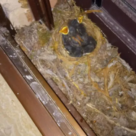 Agriturismo Belle Buono *