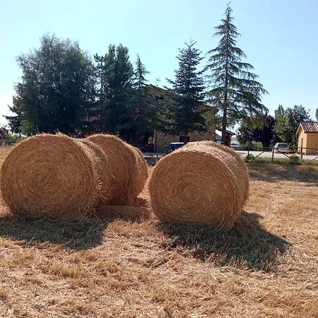 Alloggio per agriturismo Agriturismo Belle Buono